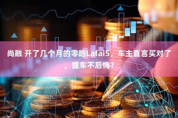 尚融 开了几个月的零跑Lafai5，车主直言买对了，提车不后悔？